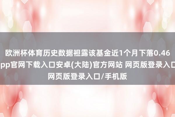 欧洲杯体育历史数据袒露该基金近1个月下落0.46%-开云app官网下载入口安卓(大陆)官方网站 网页版登录入口/手机版